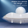 image:imageRoyal Therapy KingSize Professional Hotel Pillow Pack of 1  A Set of Premium Plush Gel Microfiber Down Alternative Hypoallergenic Bed Pillows for Your Bedroom  Side Stomach amp Back SleepersDown Alternative