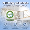 image:imageRoyal Therapy Queen 2Pack Memory Foam Pillow Adjustable Shredded OdorFree CutOut Bed Pillow for Neck amp Shoulder Pain Relief Breathable Support for Back Stomach Side Sleepers BioFormAirFlowPRO Shredded