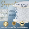 image:imageRoyal Therapy Queen 2Pack Memory Foam Pillow Adjustable Shredded OdorFree CutOut Bed Pillow for Neck amp Shoulder Pain Relief Breathable Support for Back Stomach Side Sleepers BioFormTraditional Shredded