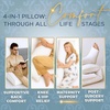 image:imageRoyal Therapy Queen 2Pack Memory Foam Pillow Adjustable Shredded OdorFree CutOut Bed Pillow for Neck amp Shoulder Pain Relief Breathable Support for Back Stomach Side Sleepers BioFormTraditional Shredded