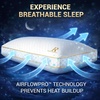 image:imageRoyal Therapy Queen 2Pack Memory Foam Pillow Adjustable Shredded OdorFree CutOut Bed Pillow for Neck amp Shoulder Pain Relief Breathable Support for Back Stomach Side Sleepers BioFormAirFlowPRO Shredded